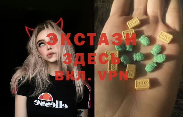 ECSTASY Бородино